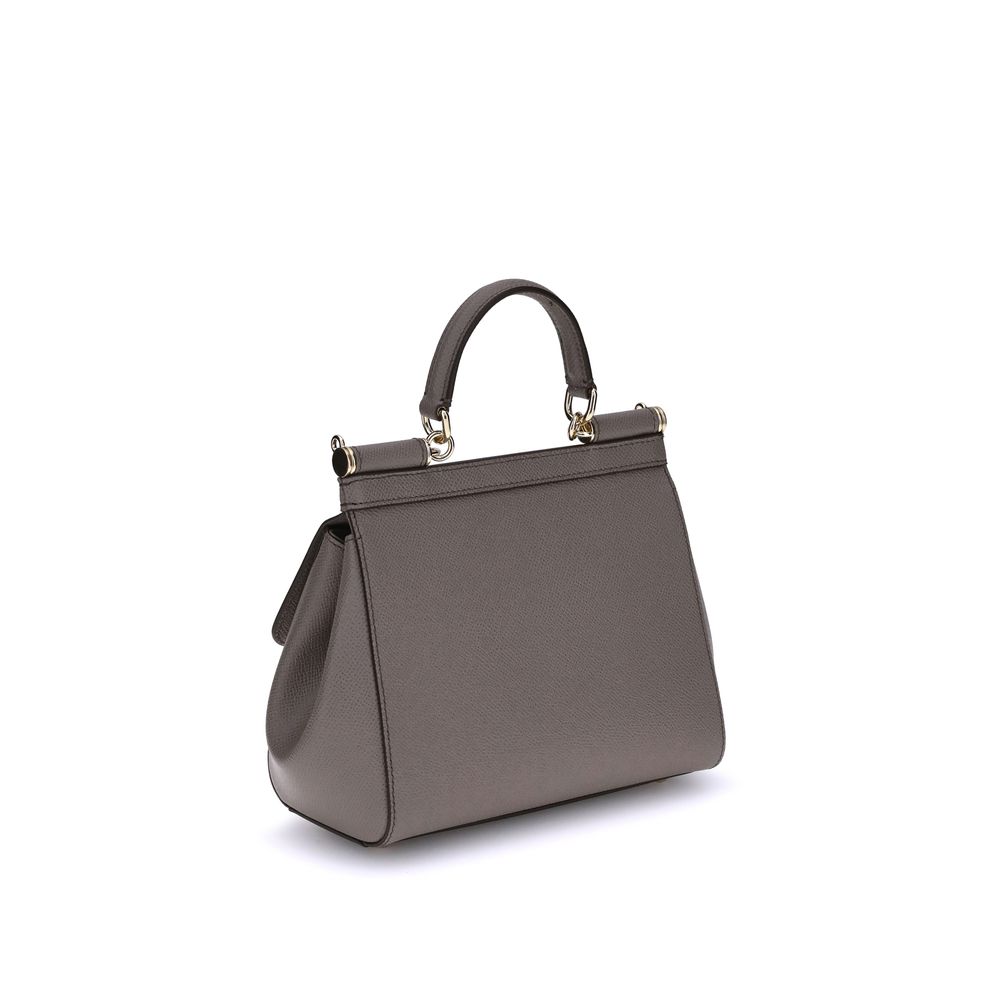 Dolce & Gabbana Gray Calf Leather Bos Taurus Handbag