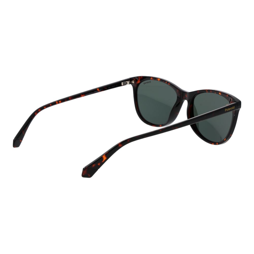 Polaroid Brown Plastic Sunglasses