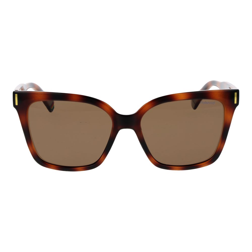 Polaroid Brown Plastic Sunglasses