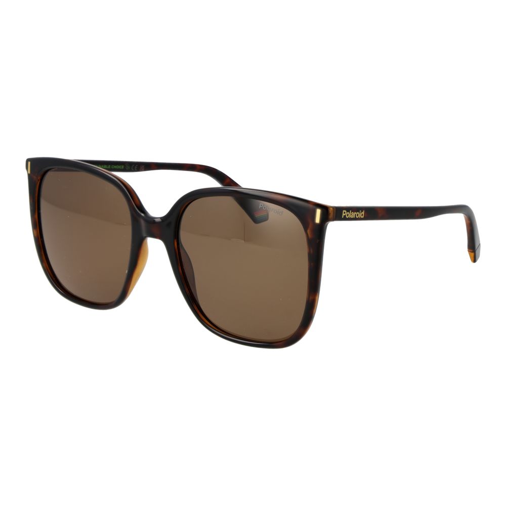 Polaroid Brown Plastic Sunglasses