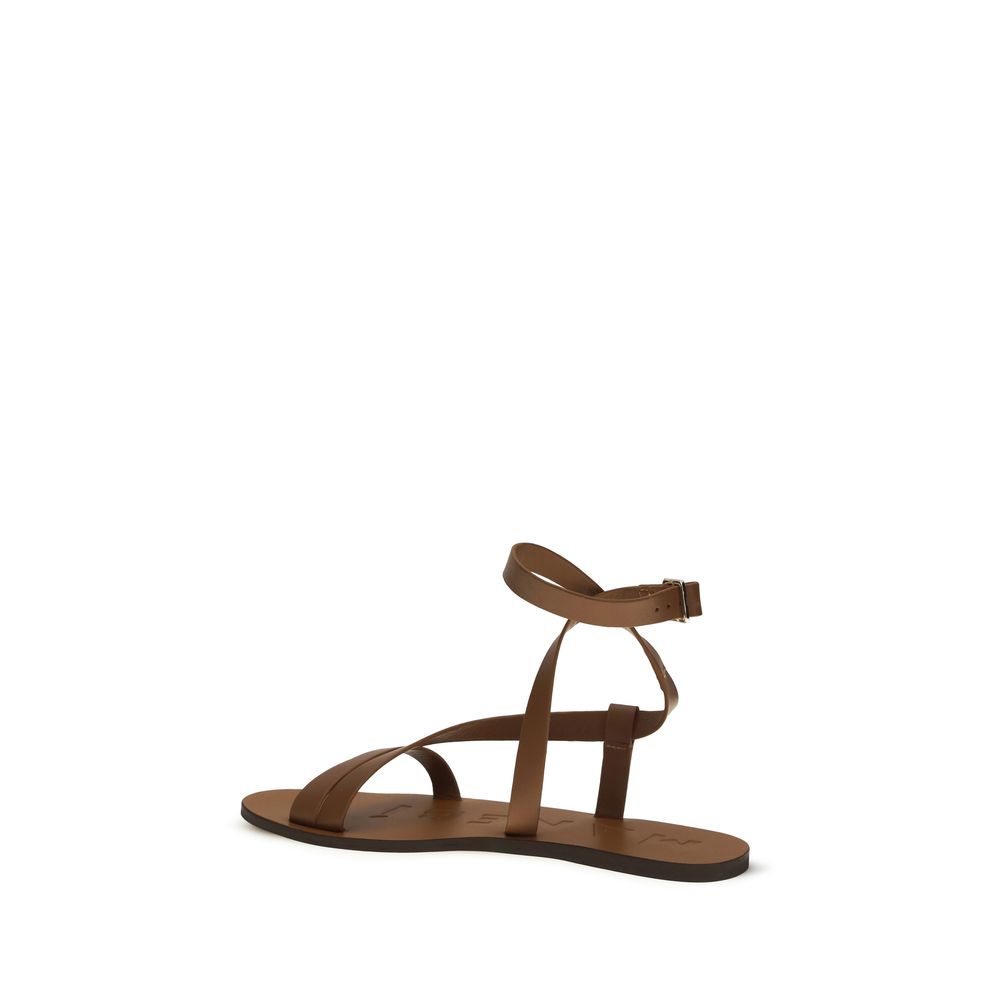 Manebi Brown Calf Leather Bos Taurus Flat Sandals