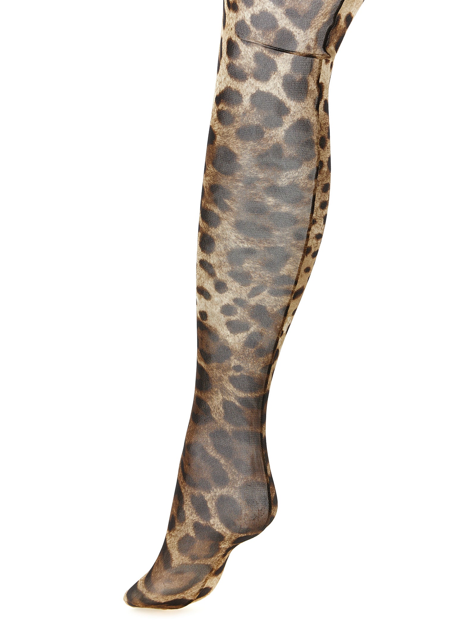 Dolce & Gabbana Brown Polyamide Socks