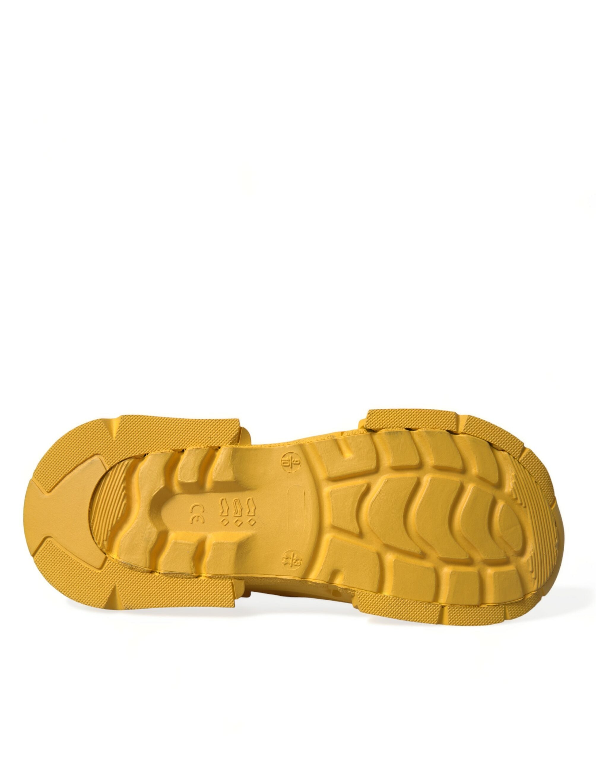 Παντόφλες Dolce & Gabbana Chic Rubber Clogs σε πλούσια χρώματα