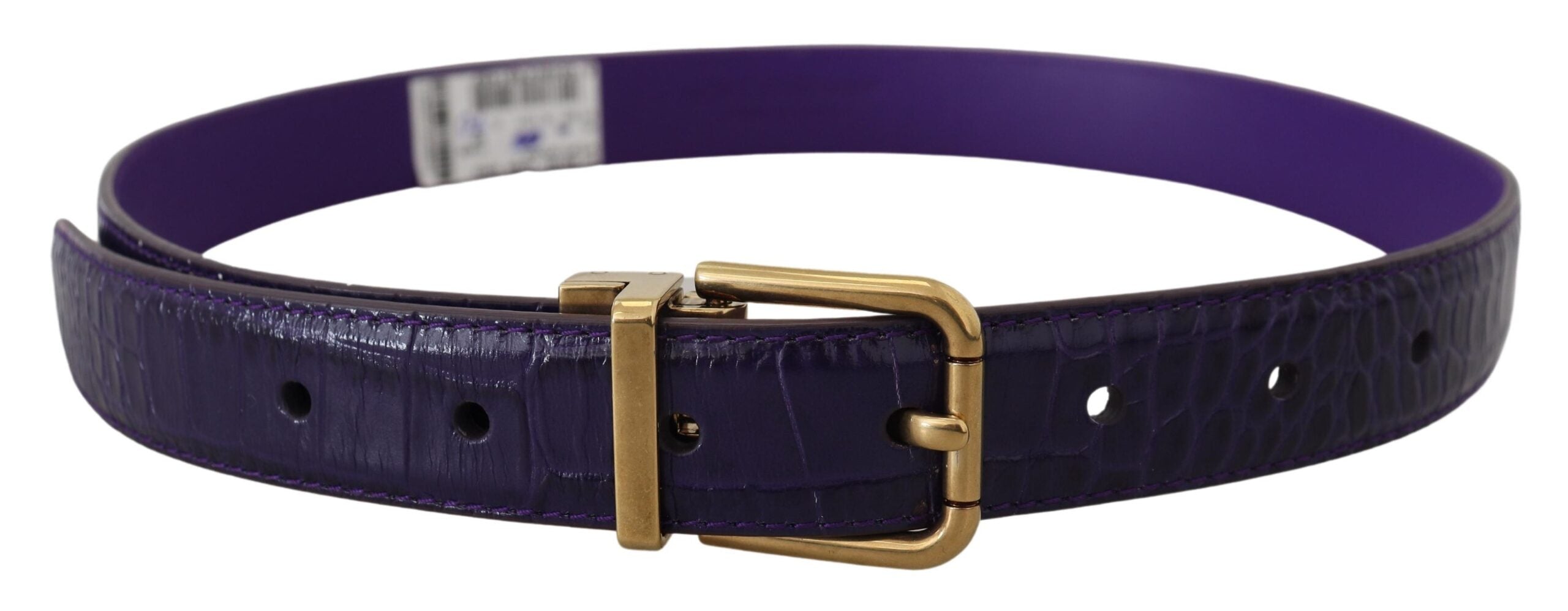 Ζώνη με μεταλλική πόρπη Dolce & Gabbana Purple Exotic Leather Gold