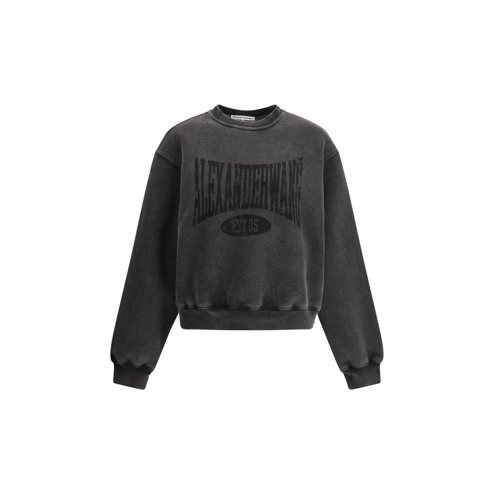 Γραφικό φούτερ Alexander Wang