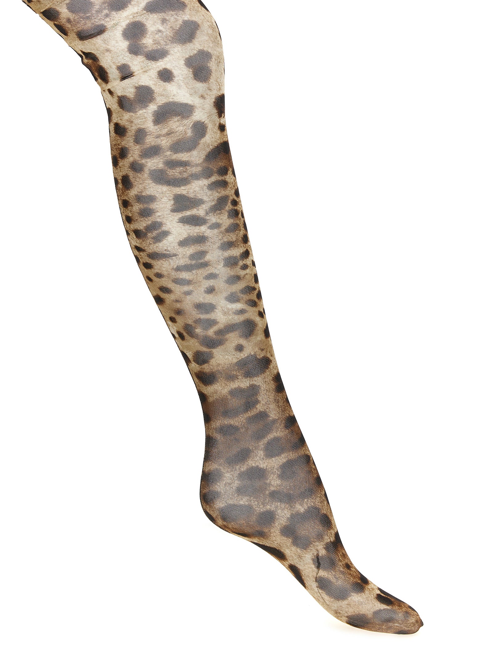 Dolce & Gabbana Brown Polyamide Socks