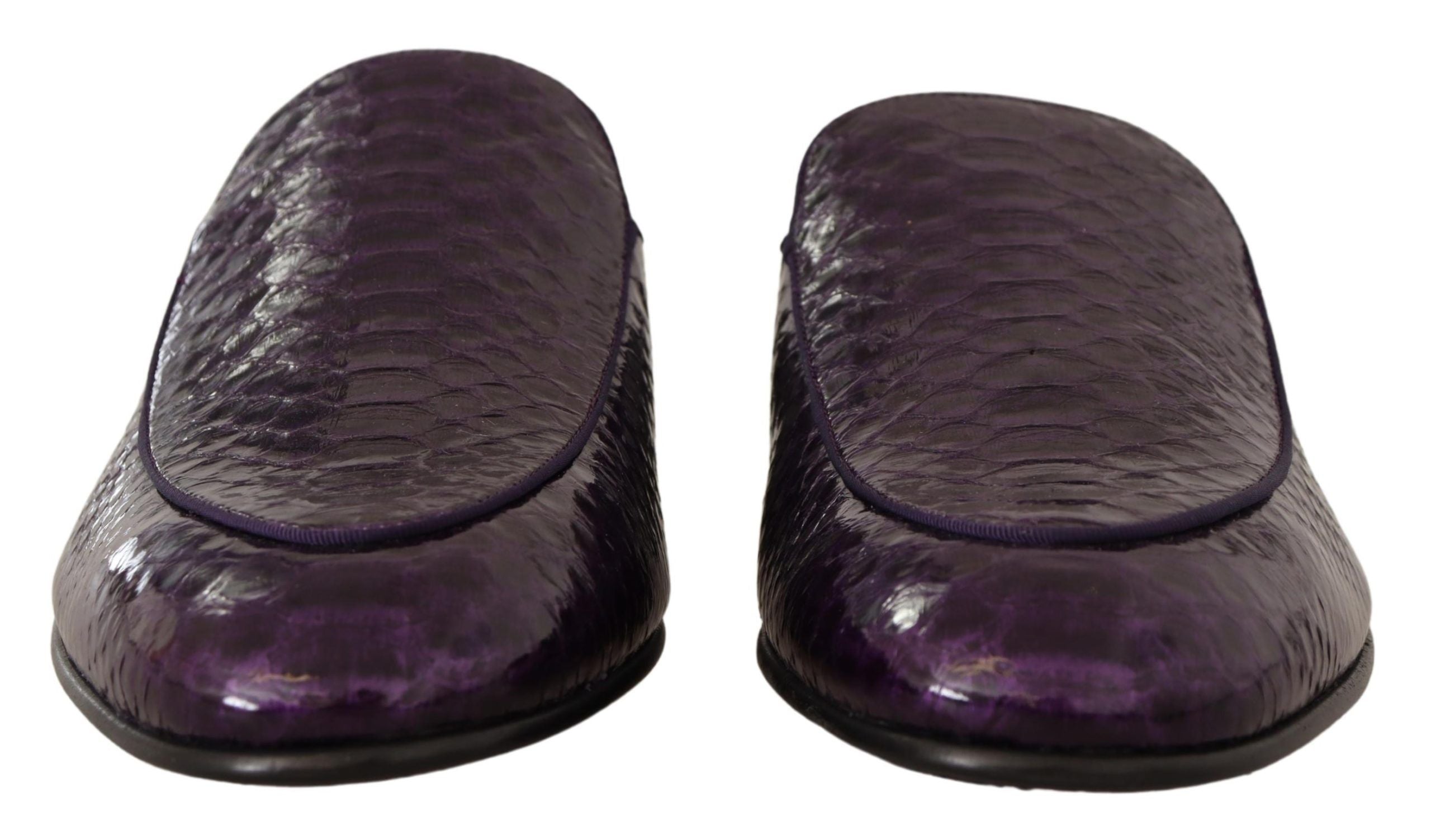 Dolce &amp; Gabbana Purple Exotic Δερμάτινες Διαφάνειες Python