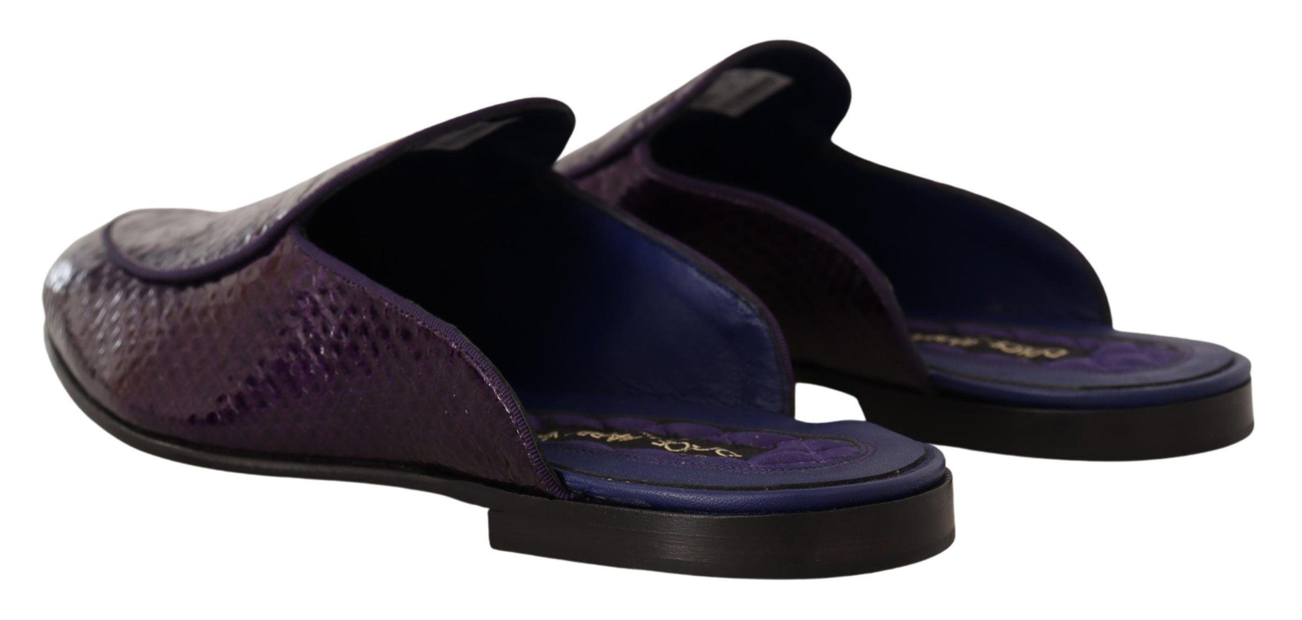 Dolce &amp; Gabbana Purple Exotic Δερμάτινες Διαφάνειες Python